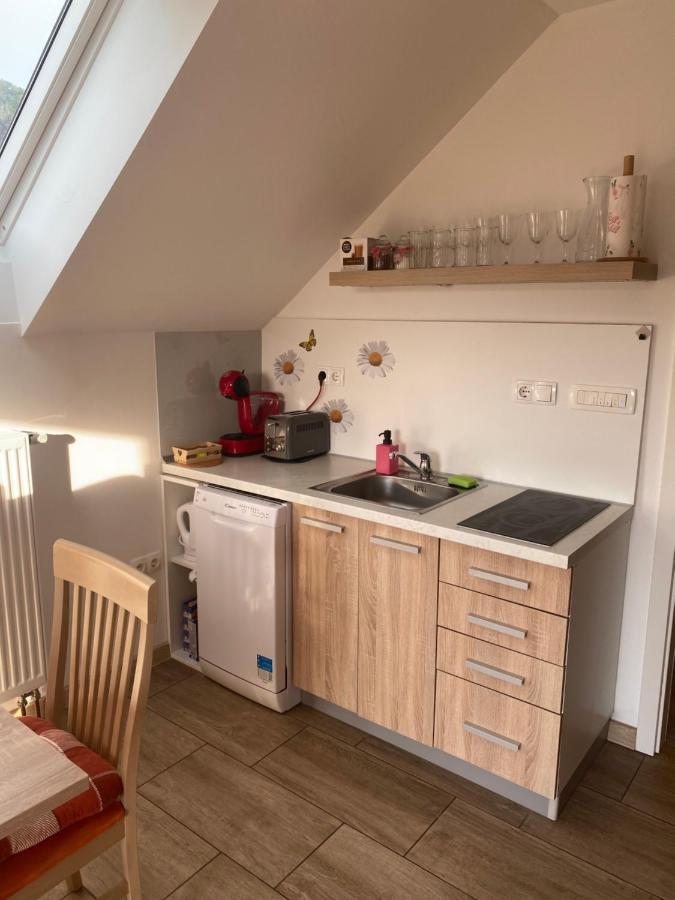 Apartment Marjetka Zirovnica Eksteriør billede